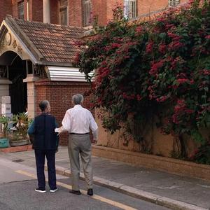 日本人妻久久久精品中文字幕免费
