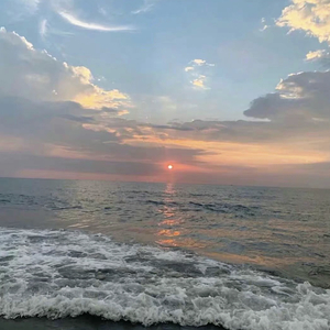 日本人妻久久久精品中文字幕免费
