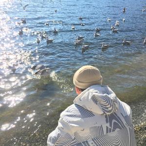 日本人妻久久久精品中文字幕免费
