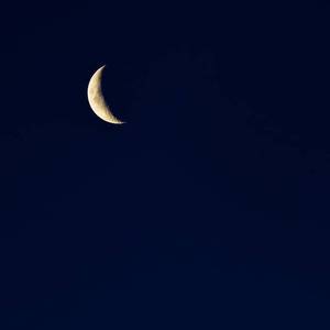 日本人妻久久久精品中文字幕免费
