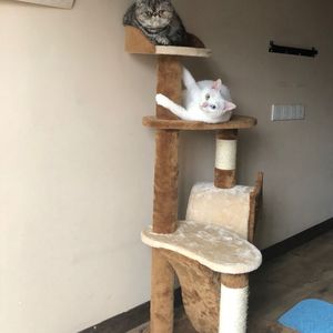 日本人妻久久久精品中文字幕免费
